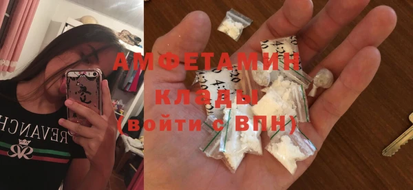 ГАЛЛЮЦИНОГЕННЫЕ ГРИБЫ Абаза