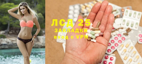 ГАЛЛЮЦИНОГЕННЫЕ ГРИБЫ Абаза