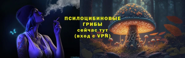 мет Алексин