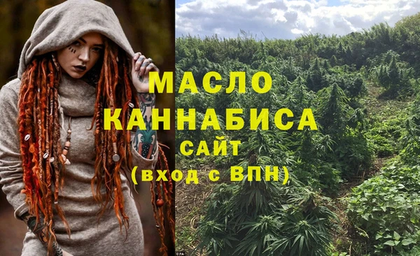 мет Алексин